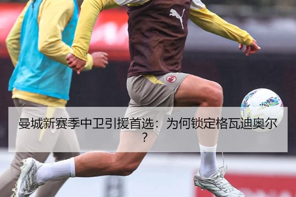曼城新赛季中卫引援首选：为何锁定格瓦迪奥尔？